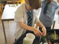 Using  pipettes, pestle and mortar